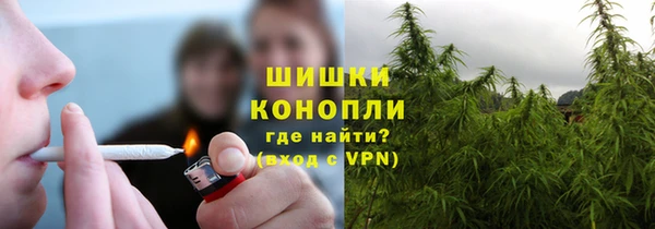 прущие грибы Ельня